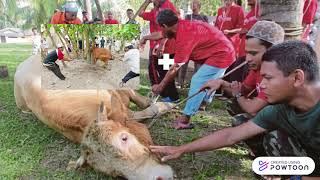 PSI TINGKATAN EMPAT : KORBAN DAN AQIQAH screenshot 2