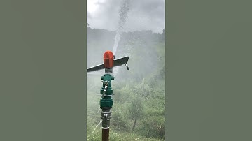 Béc Tưới Cây Đài Loan PY50 #shorts