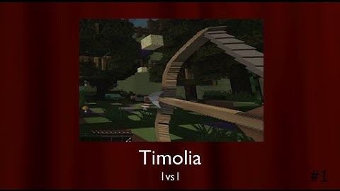 Timolia 1vs1