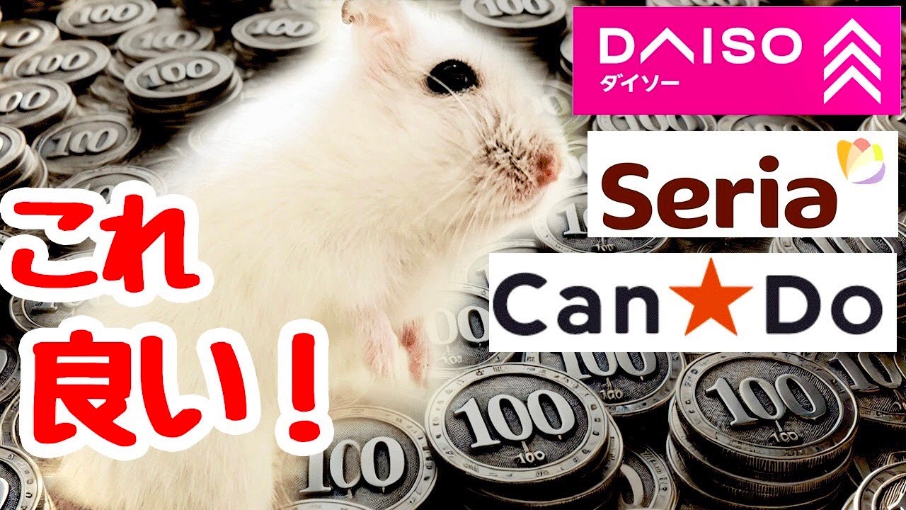 【100均】衣装ケースでハム飼育する人にオススメの商品