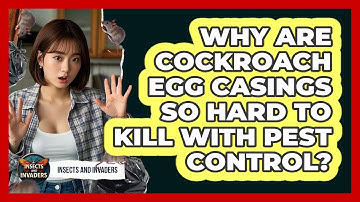 Why Are Cockroach Egg Casings So Hard To Kill With Pest Control? - Insects and Invaders