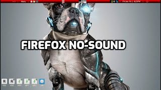 Fix firefox no-sound : install apulse in puppylinux