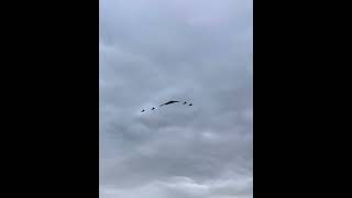 Putin & Trump meetup with the B2-Bomber in the sky 🦾 #trump #putin #ukraine #war #viral #trending