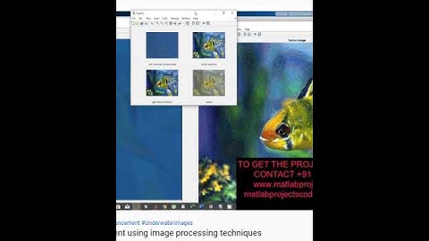 Underwater image enhancement using image processing techniques