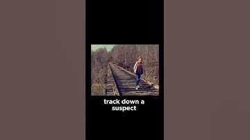 They Filmed Their Own Killer. The Delphi murders  #documentary #crime #truecrimestory #shorts