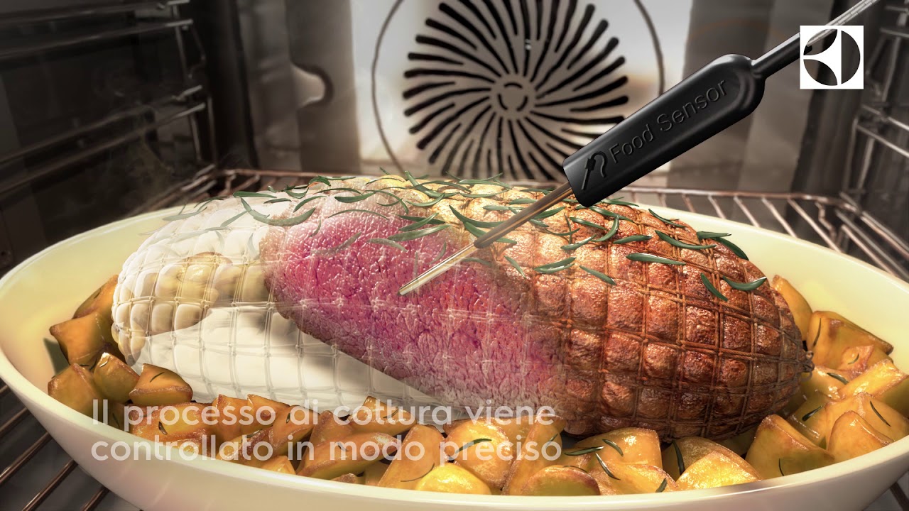 FoodSensor Millennium I