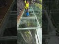 Cliffside glass bridge