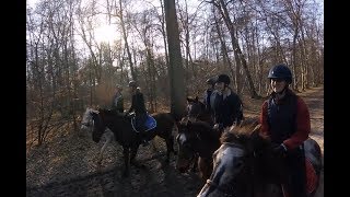 LES ECURIES DE JAVA LE 17 02 2019