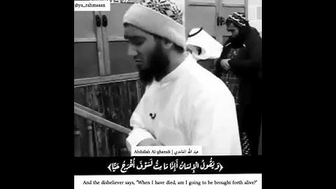 عبد الله الغامدي تلاوة جميلة