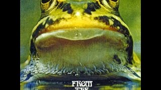 Froggie Beaver - From The Pond 1973 FULL ALBUM