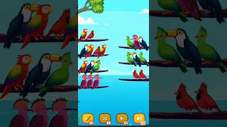 Full Bird Sort color Puzzle game #BirdSortColorPuzzle #shorts 🦜🦜🦜 News