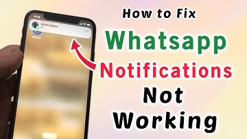 How to Fix WhatsApp Notifications Not Working after iOS 18 update.