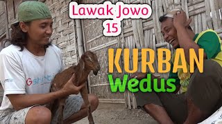 LAWAK JOWO 15 KURBAN Wedus