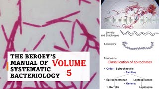 BERGEY'S MANUAL Fifth volume