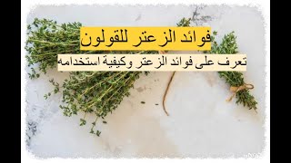 فوائد الزعتر للقولون - تعرف على فوائد الزعتر وكيفية استخدامه والأعراض الجانبية