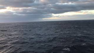 Middle of the Atlantic Ocean Resimi