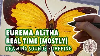 ASMR | Painting a Butterfly in Photoshop | Relaxation screenshot 5