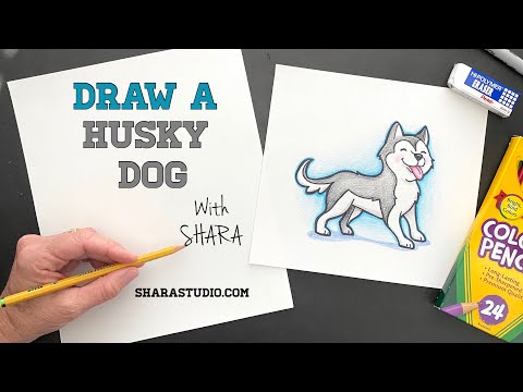 Comment dessiner un chien husky