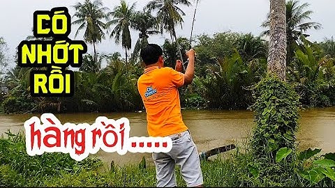 CÂU CÁ SÔNG 83 II ✅ CÓ NHỚT RỒI#fishing 