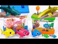 Toy asmr 🐟 ZC Aquatic Dinosaurs + Zuru Robo Fish Aquarium Playset ASMR | Satisfying with Unboxing