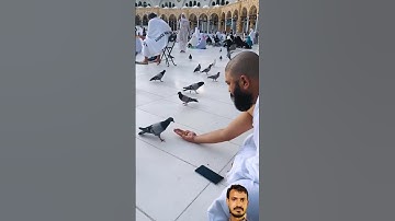 maula ya Salli wa sallim daiMan abadan Hajj 2025 Khana Kaba Sharif unfreeze my account