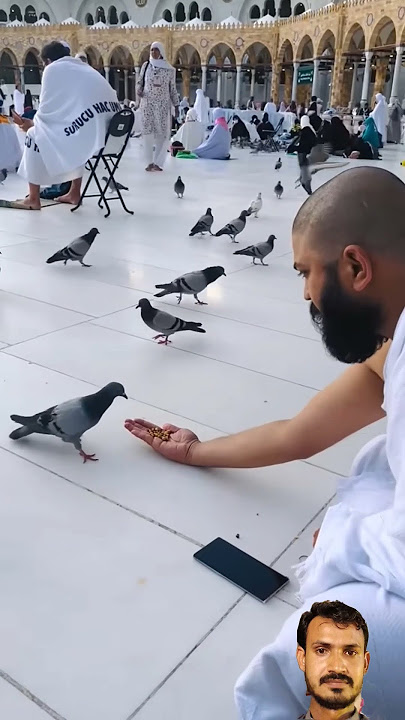 maula ya Salli wa sallim daiMan abadan Hajj 2025 Khana Kaba Sharif unfreeze my account