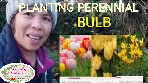 PERRENIAL BULB UNBOXING AND PLANTING FOR SPRING @m...