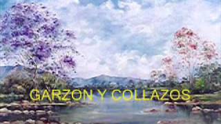 Miniatura de vídeo de "Garzón y Collazos - Cámbulos y Gualandayes - Colección Lujomar.wmv"