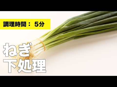【タッパー保存】ネギの下処理【冷蔵庫】