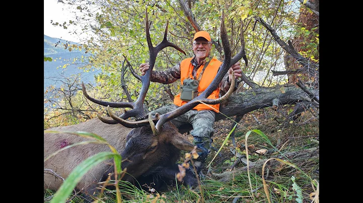 Hunting the Ashes : 4 Bulls Tagged in 2025 Colorado Burn Areas