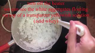 colloidal system stability---milk coagualtion