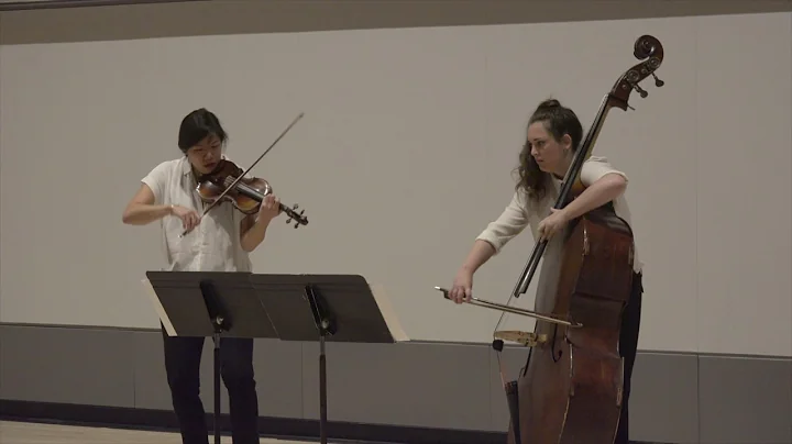 Concerto Duo, mvmt i, by Edgar Meyer, performed by...