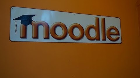 BLOG EXPORT PORTFOLIO