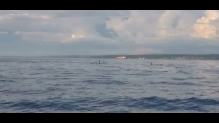052122 T65A's  Orca swim past me while on my kayak...