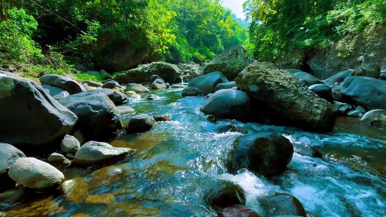 Deep Relaxation River Sounds – 10 Hours for Anxiety & Stress Recovery Stress & Tension Release