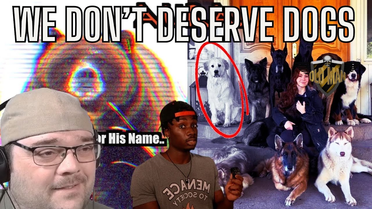 Bears, Turtles, and Dogs! - The Best Aura Moments in Nature from Casual Geographic - Reaction