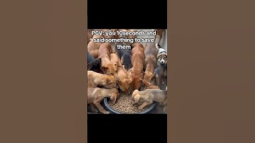 For any support click the link in our channel description to donate. Every little bit counts