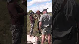 Impact shot on Zebra