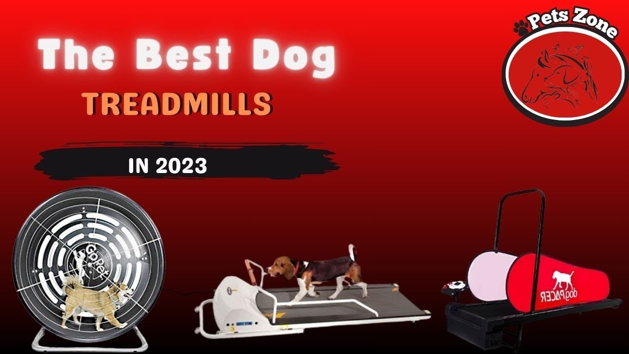The Best Dog Treadmills in 2023 | Pets Zone