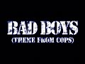 Bad Boys Theme From Cops