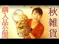 秋雑貨　購入品紹介　youtube　フラワーベース　バードケージ　プランター　ドライフラワー　コランダー　バスケット　ポット　ジョーロ　ブリキ　ワイヤー