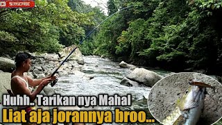 Huhh..tarikanya Mahal, Mancing Ikan Mahser Disungai Malin Deman