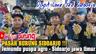 PASAR BURUNG SIDOARJO !!! Jemundo puspa agro - Sidoarjo jawa timur !!! Dapit Love Bird Sidoarjo