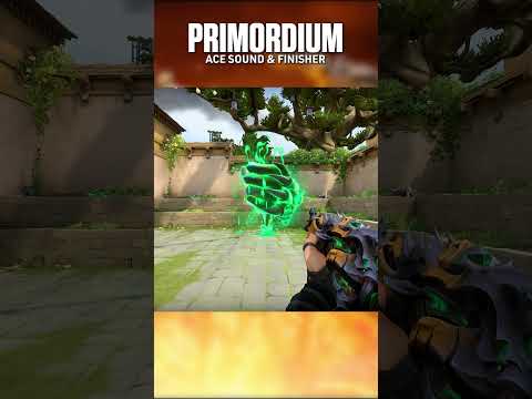 Primordium Ace Sound & Finisher | Valorant