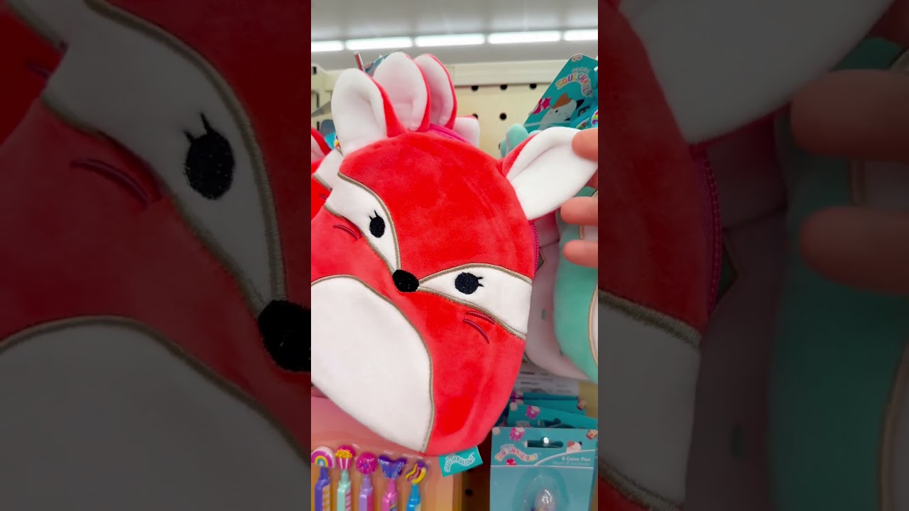 Look At All These Cute Squishmallow Stuff! 