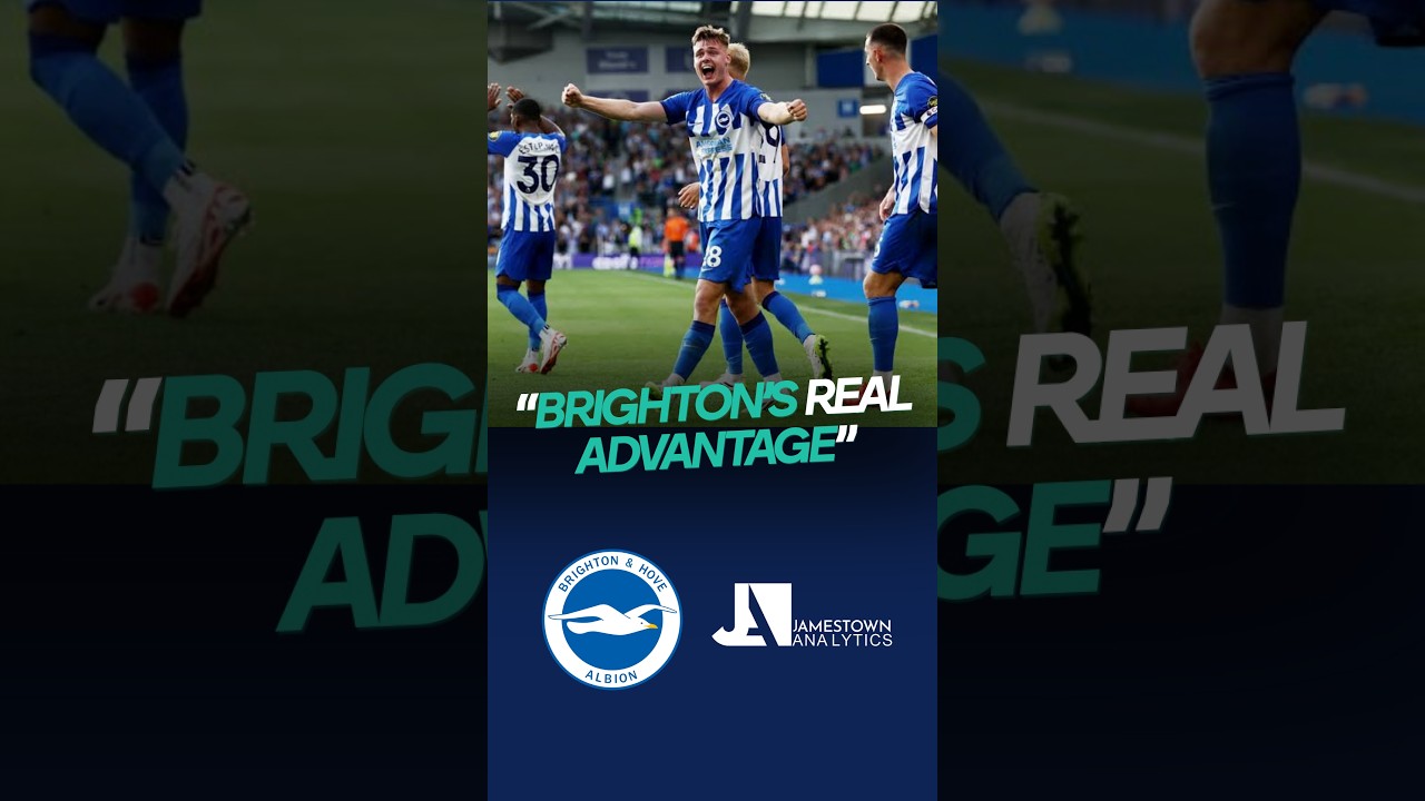 Brighton's Transfer Business Is Down To This Company, JAMESTOWN ANALYTICS... #brighton #