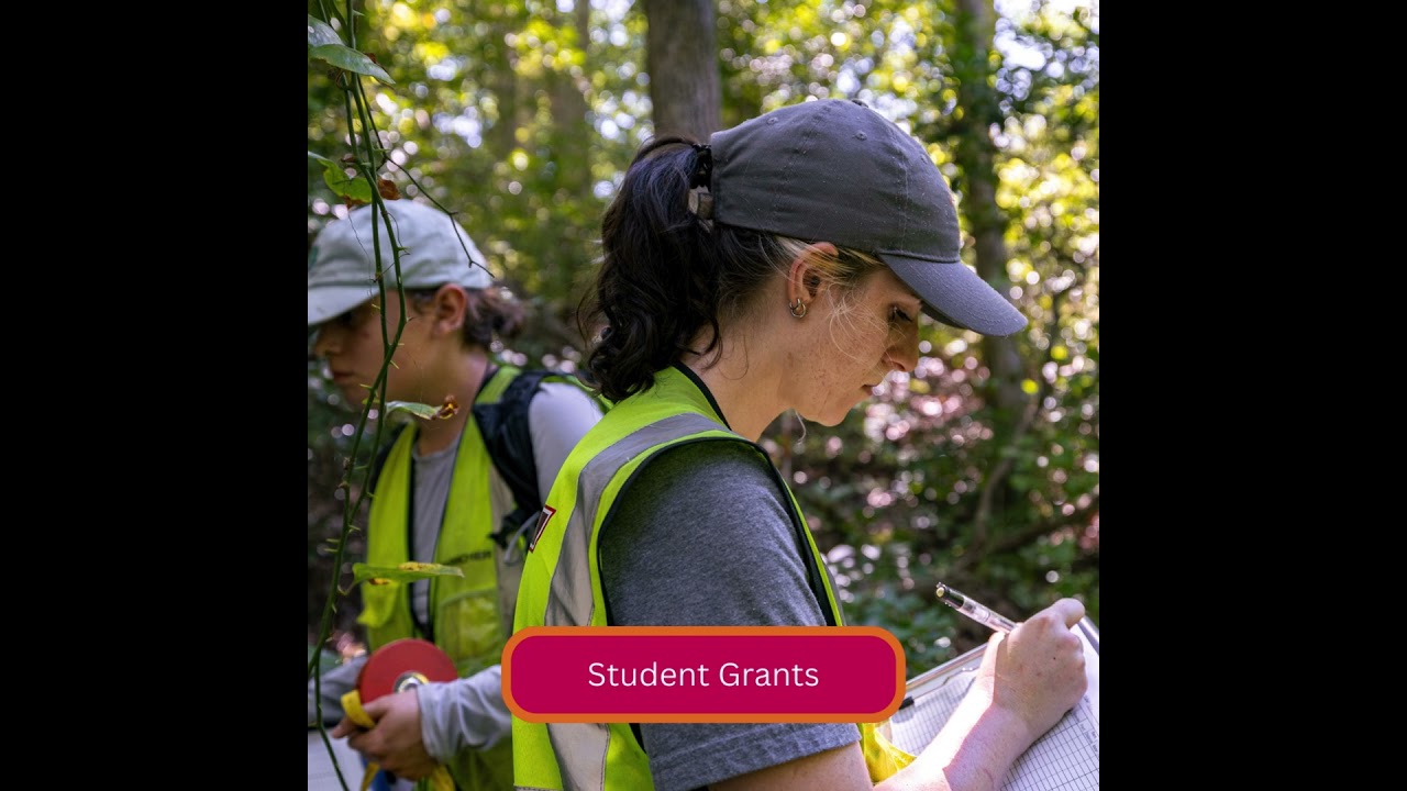 Why Give to the Invasives Species Collaborative at Virginia Tech
