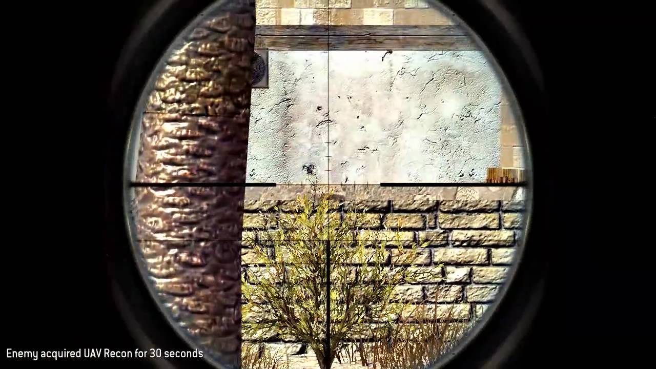 PARADISE | Quaaaad ?