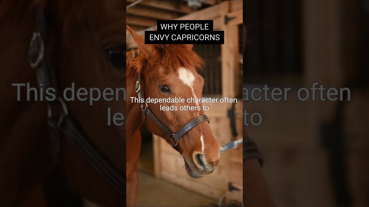 Why Capricorns Are Envied By Many 