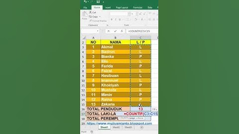 RUMUS EXCEL: COUNTIF #excel  #countif